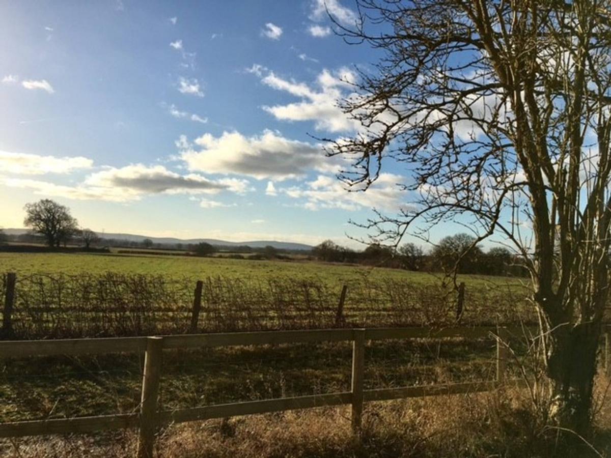 South Cottage - Rural Gem In The Heart Of The Sussex Countryside Twineham Eksteriør bilde