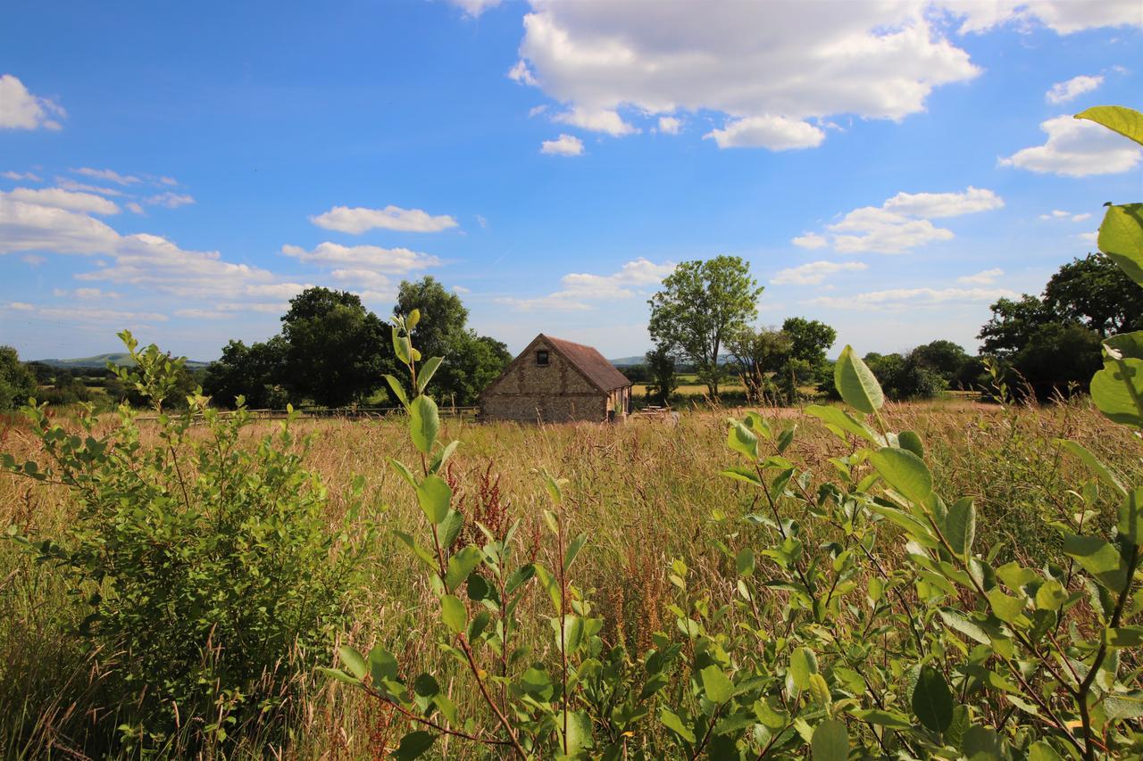 South Cottage - Rural Gem In The Heart Of The Sussex Countryside Twineham Eksteriør bilde