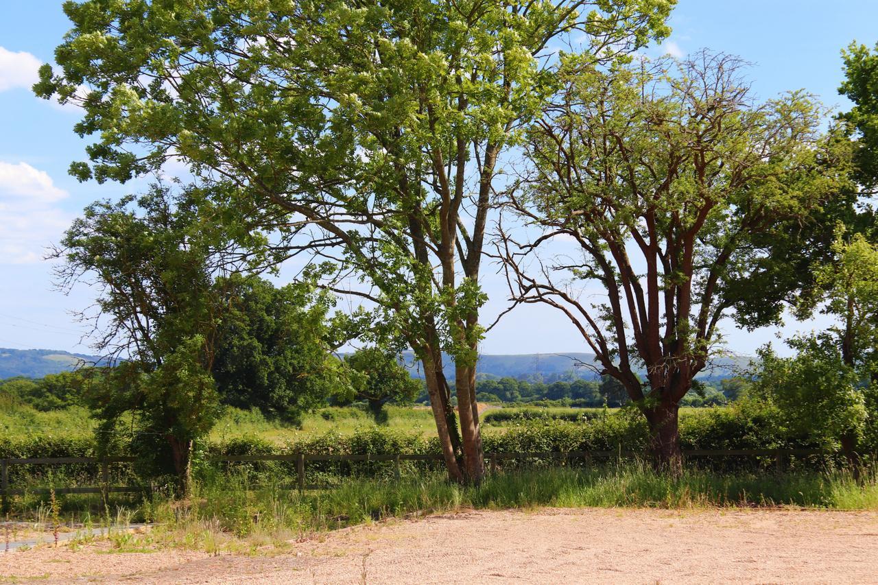 South Cottage - Rural Gem In The Heart Of The Sussex Countryside Twineham Eksteriør bilde